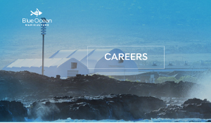 Careers Blue Ocean Mariculture